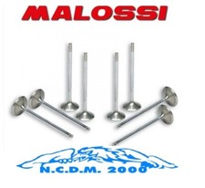 2715092 Set Vannes Malossi