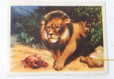 Image CHROMO Chocolat