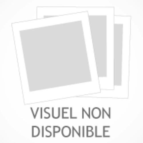 Livre dossier camille - dossier,
