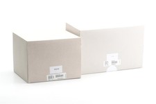 Leica MP Leica Historica 1975-2020 Avec APO-Summicron 2/50mm