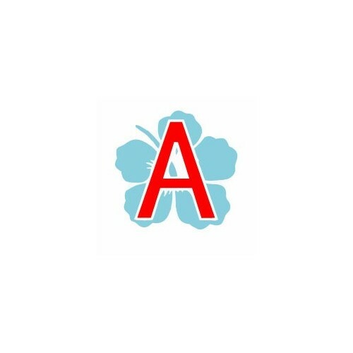 Jeune conducteur apprenti - a,