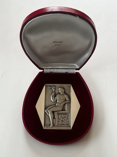 Medaille bronze argente - medaille,