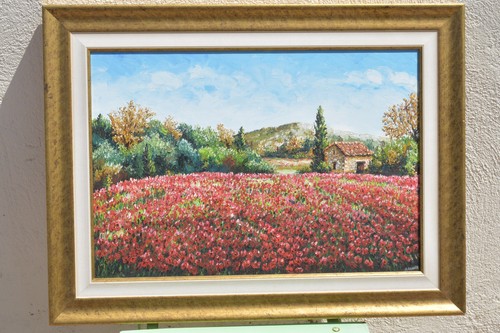 Champs coquelicots en - champs, de