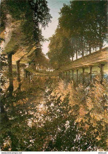 Carte postale hérault - postale,