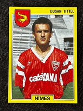 VIGNETTE STICKER PANINI FOOT