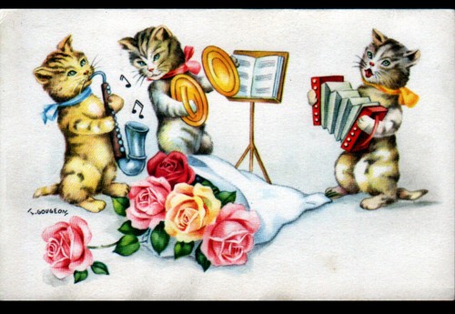 Chat humain musicien - chat, bouquet