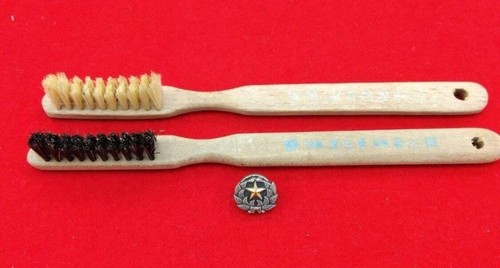 Ensemble insigne brosses à - insigne, et
