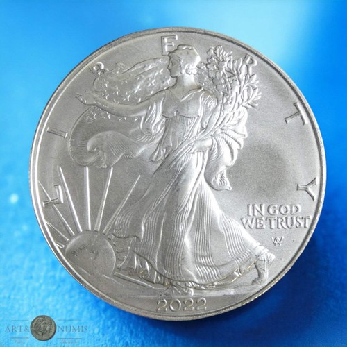 Usa dollar silver - 1,