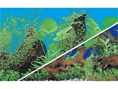 Poster fond aquarium - d, decors