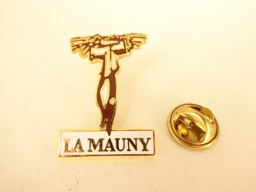 Pin pins badge - pin,