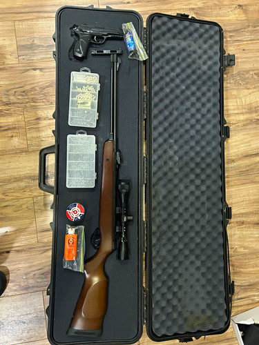 Gamo 22 spring - gamo, .22