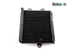 Radiateur Aprilia Climber 280