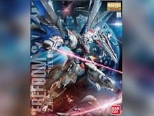 BANDAI Gundam Gunpla MG 1/100