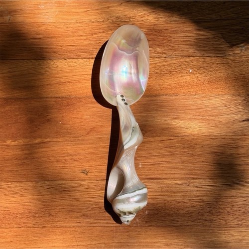 Cuillère cavier coquillage - , &