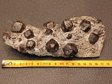 Grenat Almandin. Zillertall. Tyrol. Autriche :17,5cm Par 8,5cm