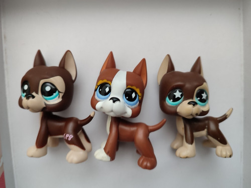 Littlest pet shop chien - shop,