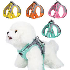 Harnais Pour Animaux De Compagnie Gilet De Contrôle Réglable Pour Chiens Et /
