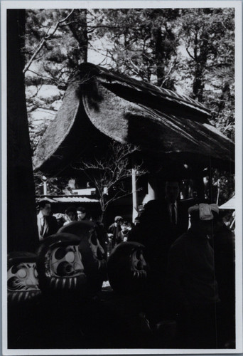 Japon koganei daruma - japon,, au