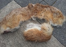 COL ET UNE SEULE MANCHE EN