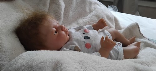 Bébé reborn préma tom - reborn,