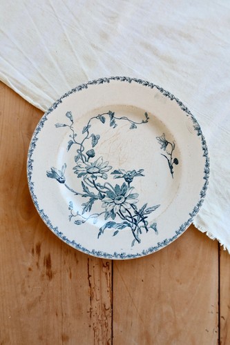 Assiette plate ancienne terre