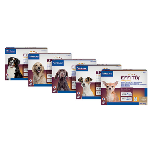 Effitix puces tique - effitix¹,