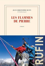 Les Flammes de Pierre - Rufin