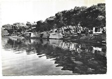 83  SIX FOURS  LE BRUSC  CAMPING DU GAOU