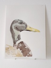 Canard Colvert AQUARELLE
