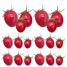  24 Pcs Petites Tomates