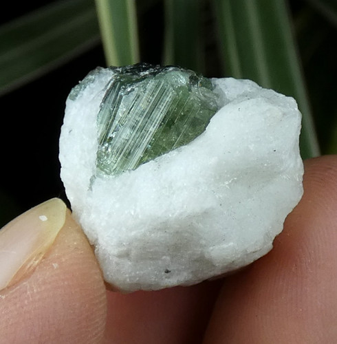 Tourmaline verte verdélite - verte,