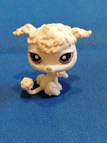 Littlest petshop lps chat - lps, :