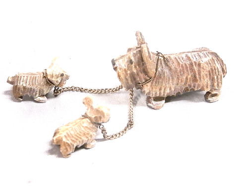 Petits chiens fox - petits,