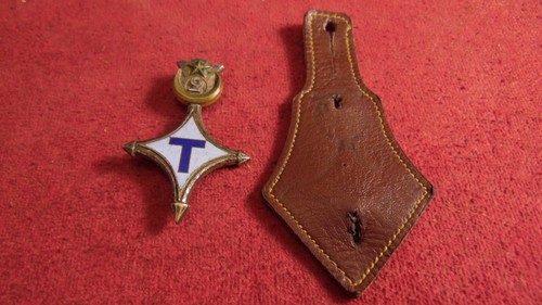 Insigne sahariens - insigne, 2°