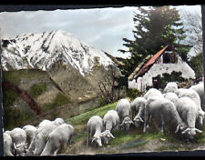 COL de PORTET d'ASPET (31)