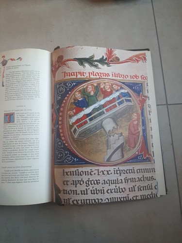 Bible illustrée version luxe - bible,