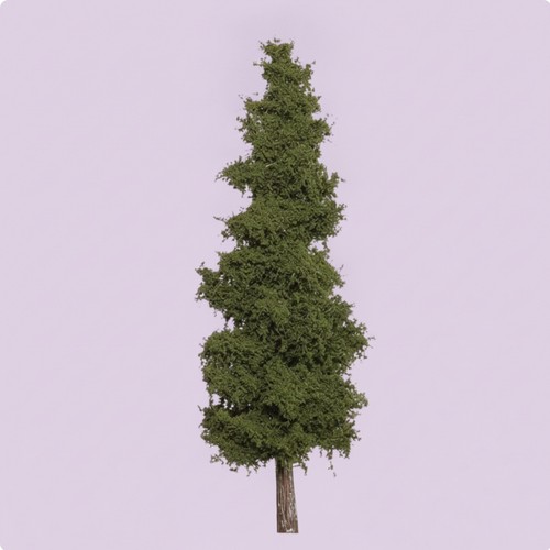 Arbre maquette branches - arbre,
