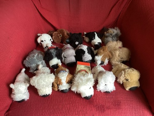 Lot chiens peluche - lot, en