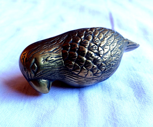 Objet vitrine oiseau - de,