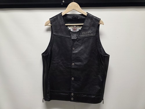 Harley davidson blazing bones - harley,