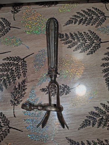 Ancien manche gigot - manche,