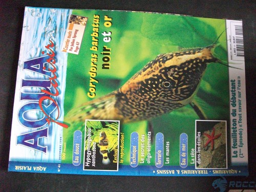 Aqua plaisir n - **c, °41