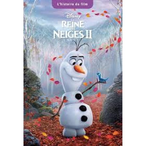 Livre reine des neiges - livre,