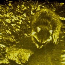 Film 16 mm: Documentaires