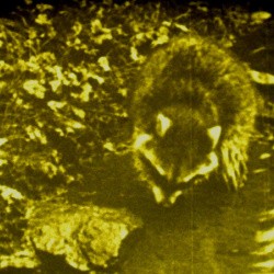 Film documentaires - mm:,