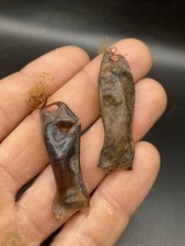 2'' / 5 cm - Rare Dogfish