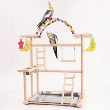 Parrot Playstand Parrot Aire de jeux pour perruche perroquet inséparable