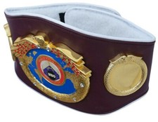 Te World Boxe Organisation Wbo