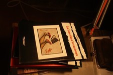 La lune dans le caniveau -