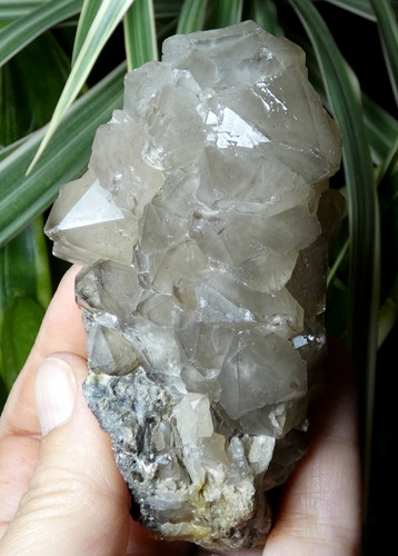 Beau quartz fumé beauvoir - quartz,